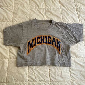 University of Michigan crop top